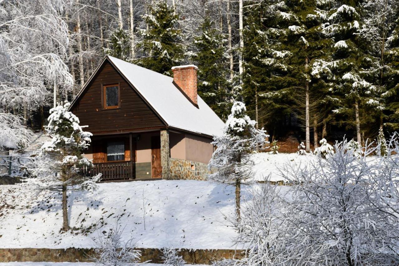 Caloroczny El Coyote Holiday home *