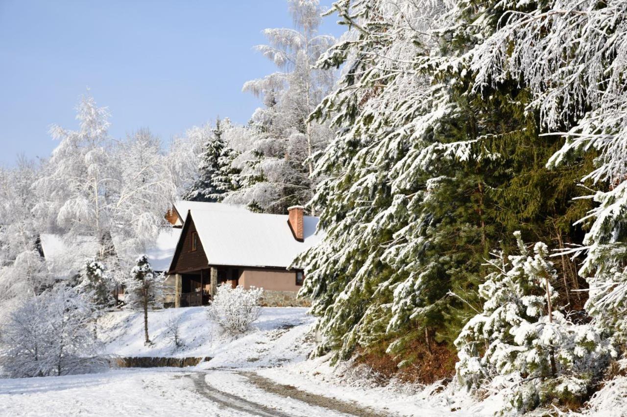 Holiday home Caloroczny El Coyote